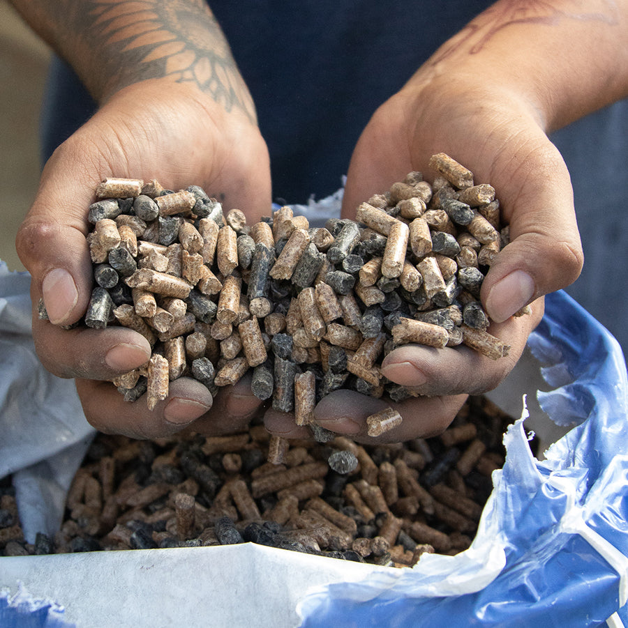 Man holding a handful of pellets.