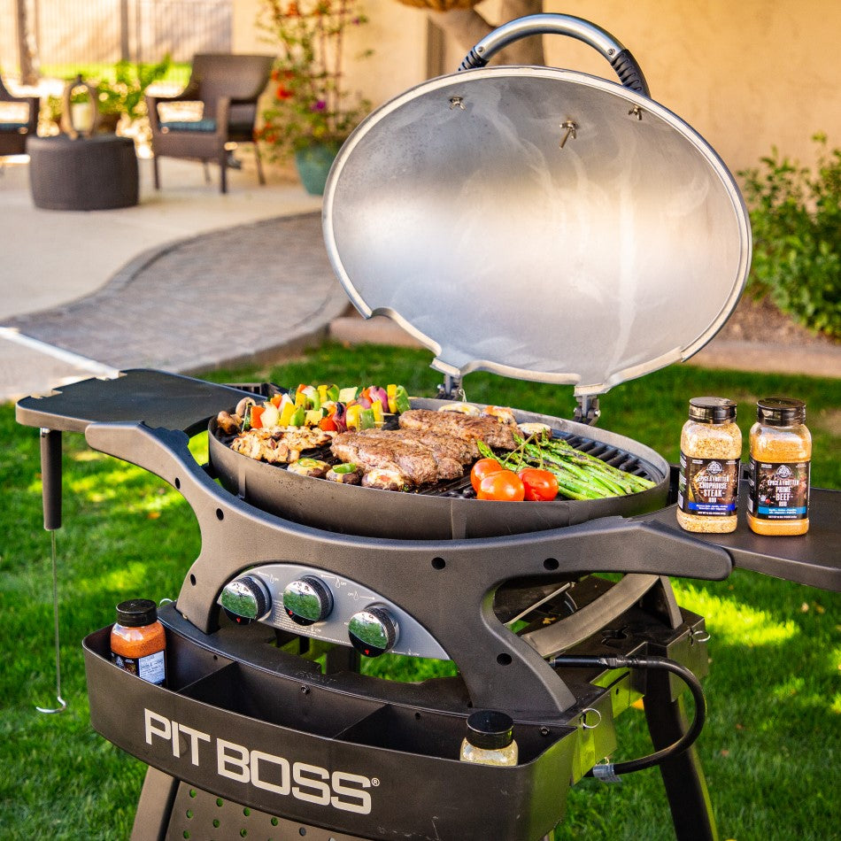 Pit Boss 2 Burner Portable GAS Grill with Collapsible Cart Black